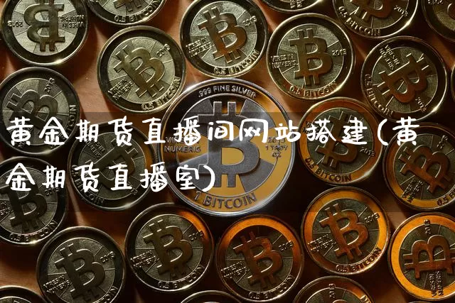 黄金期货直播间网站搭建(黄金期货直播室)_https://www.qldgs.com_恒指期货_第1张