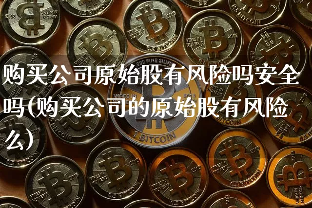 购买公司原始股有风险吗安全吗(购买公司的原始股有风险么)_https://www.qldgs.com_国际期货_第1张