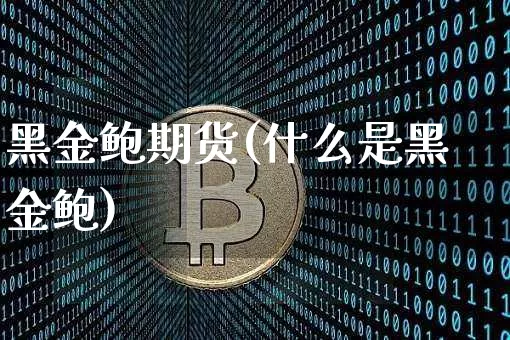 黑金鲍期货(什么是黑金鲍)_https://www.qldgs.com_国际期货_第1张