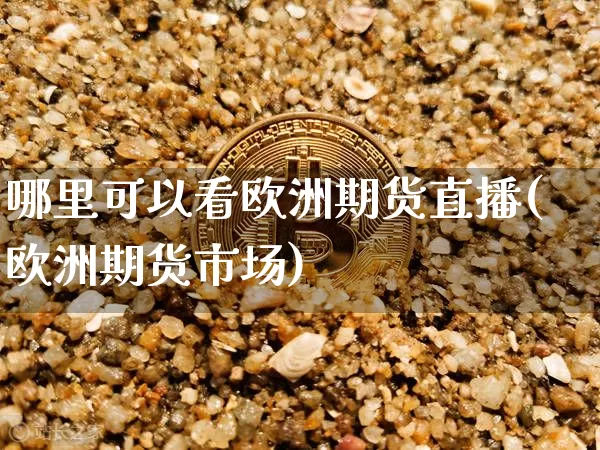 哪里可以看欧洲期货直播(欧洲期货市场)_https://www.qldgs.com_原油期货_第1张