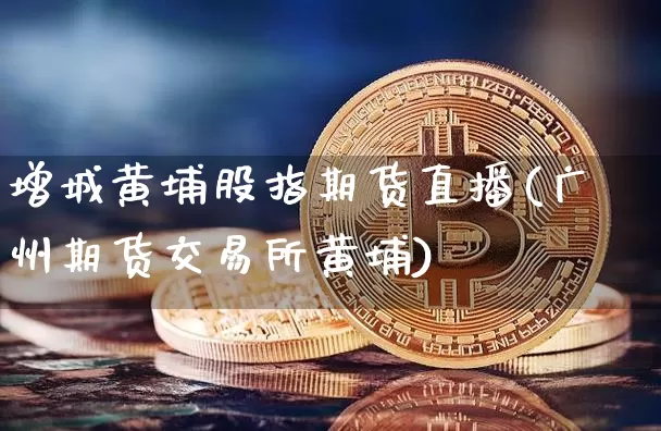 增城黄埔股指期货直播(广州期货交易所黄埔)_https://www.qldgs.com_内盘期货_第1张
