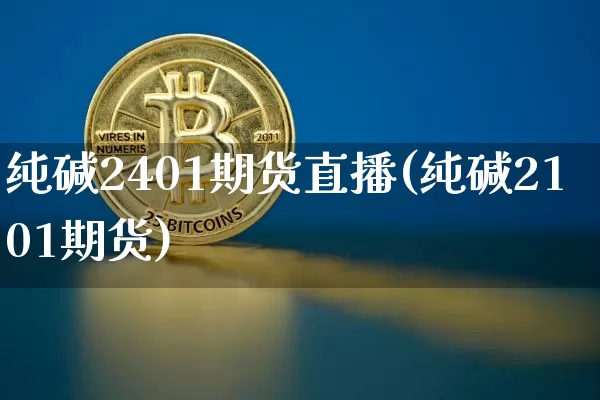 纯碱2401期货直播(纯碱2101期货)_https://www.qldgs.com_内盘期货_第1张