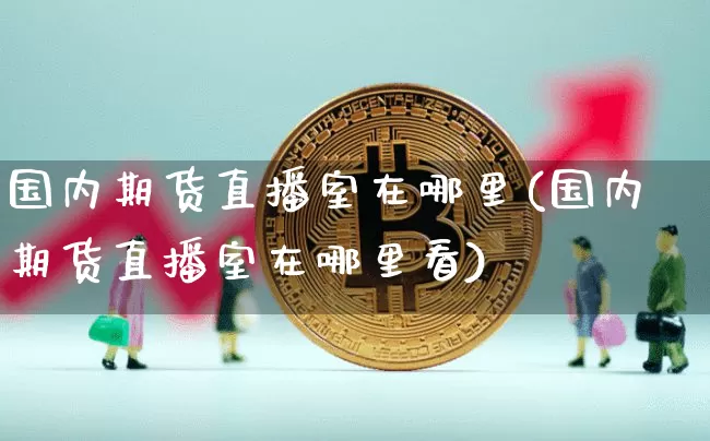 国内期货直播室在哪里(国内期货直播室在哪里看)_https://www.qldgs.com_国际期货_第1张