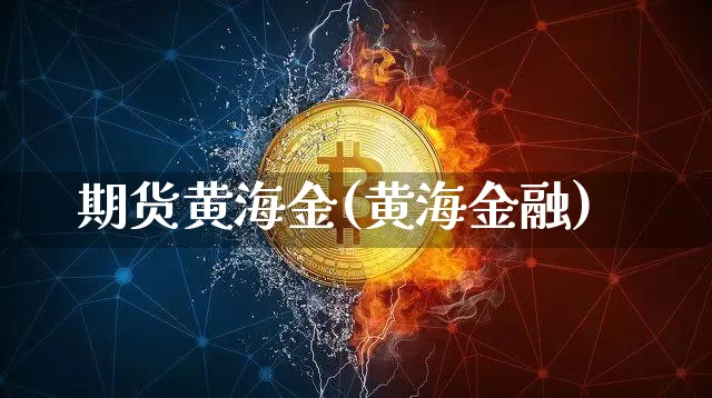 期货黄海金(黄海金融)_https://www.qldgs.com_恒指期货_第1张