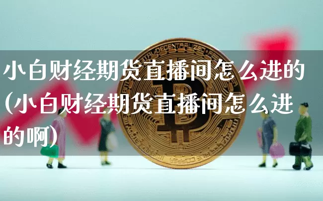 小白财经期货直播间怎么进的(小白财经期货直播间怎么进的啊)_https://www.qldgs.com_恒指期货_第1张
