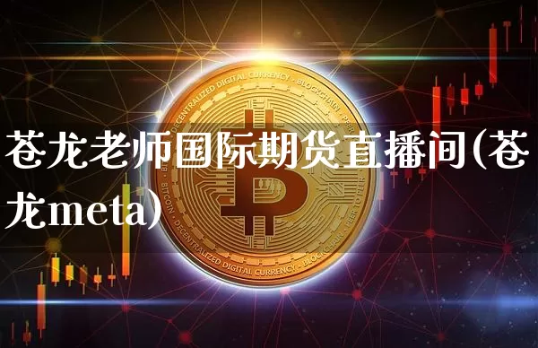 苍龙老师国际期货直播间(苍龙meta)_https://www.qldgs.com_国际期货_第1张
