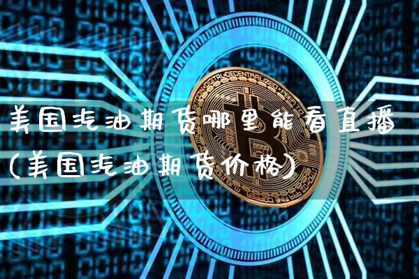 美国汽油期货哪里能看直播(美国汽油期货价格)_https://www.qldgs.com_恒指期货_第1张