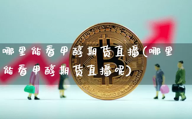 哪里能看甲醇期货直播(哪里能看甲醇期货直播呢)_https://www.qldgs.com_内盘期货_第1张