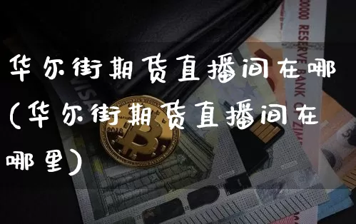 华尔街期货直播间在哪(华尔街期货直播间在哪里)_https://www.qldgs.com_恒指期货_第1张