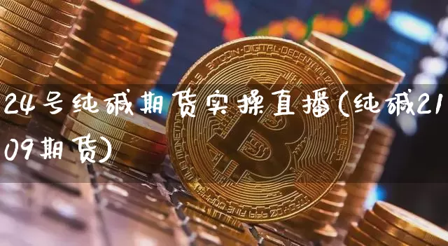 24号纯碱期货实操直播(纯碱2109期货)_https://www.qldgs.com_期货_第1张