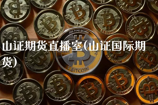 山证期货直播室(山证国际期货)_https://www.qldgs.com_恒指期货_第1张