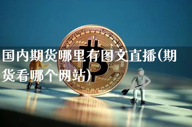 国内期货哪里有图文直播(期货看哪个网站)_https://www.qldgs.com_恒指期货_第1张