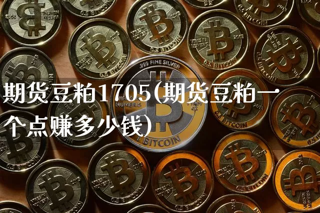 期货豆粕1705(期货豆粕一个点赚多少钱)_https://www.qldgs.com_期货_第1张