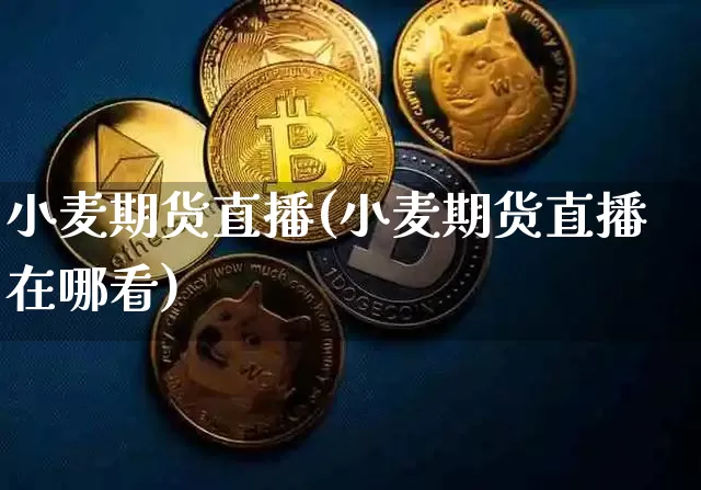 小麦期货直播(小麦期货直播在哪看)_https://www.qldgs.com_内盘期货_第1张