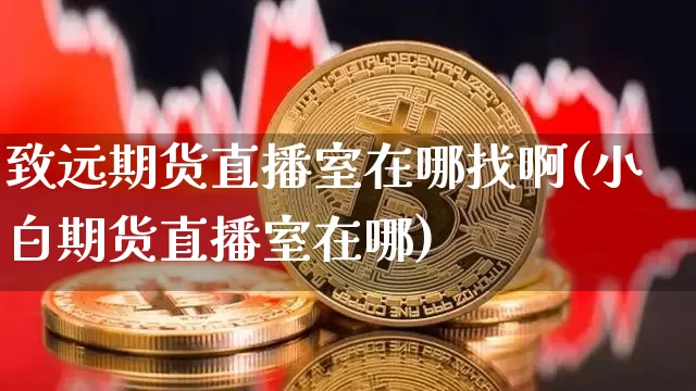 致远期货直播室在哪找啊(小白期货直播室在哪)_https://www.qldgs.com_恒指期货_第1张