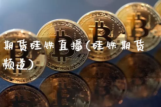 期货硅铁直播(硅铁期货频道)_https://www.qldgs.com_内盘期货_第1张