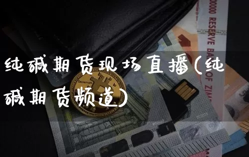 纯碱期货现场直播(纯碱期货频道)_https://www.qldgs.com_国际期货_第1张