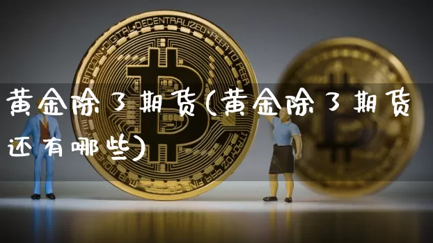 黄金除了期货(黄金除了期货还有哪些)_https://www.qldgs.com_内盘期货_第1张