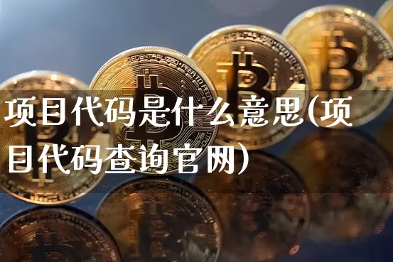 项目代码是什么意思(项目代码查询官网)_https://www.qldgs.com_原油期货_第1张